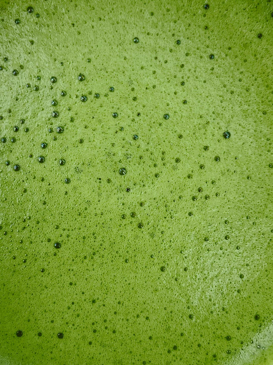 What is Matcha?